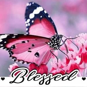 Meet your Posher, Valisha